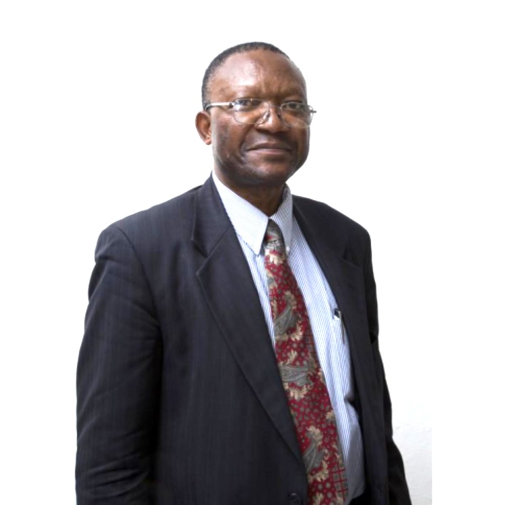 Martin Nkafu Nkemnkia